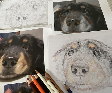 愛犬・愛猫を色鉛筆またはデジタルでリアルに描きます ペットとの思い出をあったかい似顔絵でお手元に イメージ2