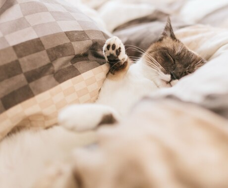 話してスッキリ！⭐️眠くなるまで一緒にお喋りします なんとなく眠れぬ夜に。なんでも話して✨安眠ヒーリング付き✨ イメージ2