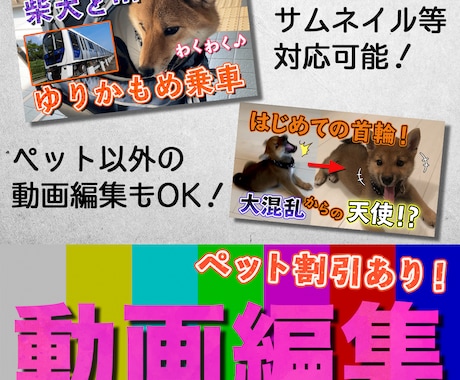 ペット割引あり／動画編集します 愛犬家のテレビディレクターが熱血編集！！ イメージ1