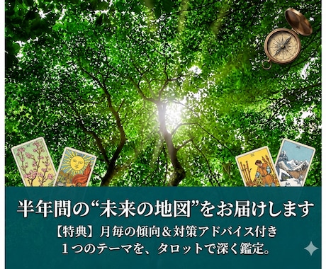 1テーマについて半年間の動向や注意点を占います 気になるテーマについて６ヶ月間の“地図”をお届けします イメージ1