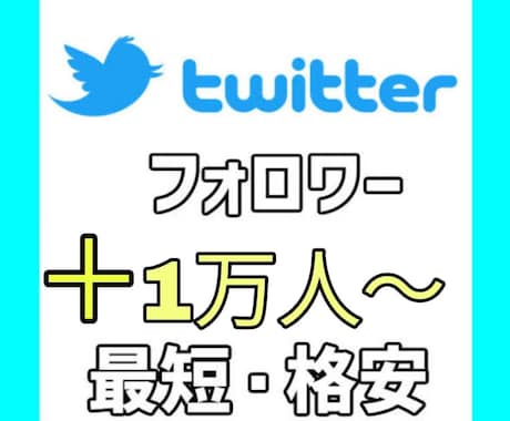 Twitterのフォロワー【1万人】増やします Twitter集客・フォロワー増やし・宣伝・拡散手伝います！ イメージ1