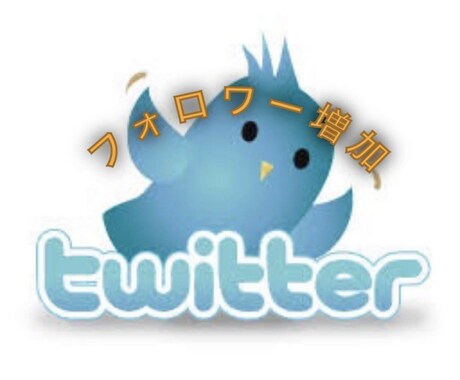 X（旧Twitter）フォロワー1万人増加します 安心の保証付きです。数時間で増加完了します。 イメージ1