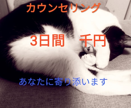 誰かに話したい欲求をカウンセラーが答えます トークルームで3日間、産業カウンセラーがお相手いたします イメージ1