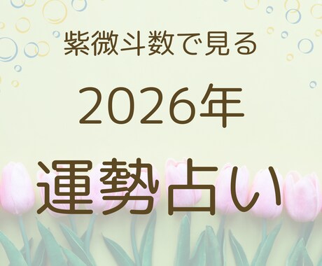 一年分、一か月ごとの運勢、紫微斗数で占います 運気の流れを知り、最適な選択を。あなたの一年をより良いものに イメージ1