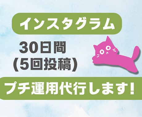 30日間で5回の投稿！インスタグラム運用代行します 動かさないと勿体ない！素敵な商品の魅力を伝えます！SNS運用 イメージ1