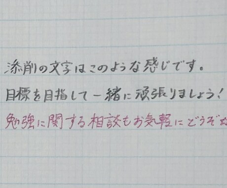 分からない問題を解説、添削します 勉強の苦手な学生さん、お子さんの勉強に不安のある親御さんへ イメージ2