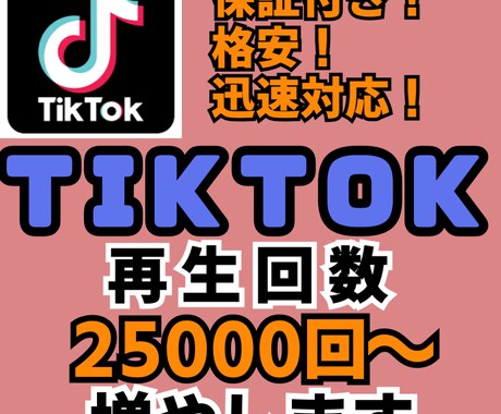 tiktok再生回数25000回～増やします 【収益化】tiktok再生回数25000回～　★★爆増★★ イメージ1