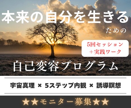 本来の自分を生きる為の自己変容をサポートます 人生に違和感を感じている30-40代女性向け イメージ1