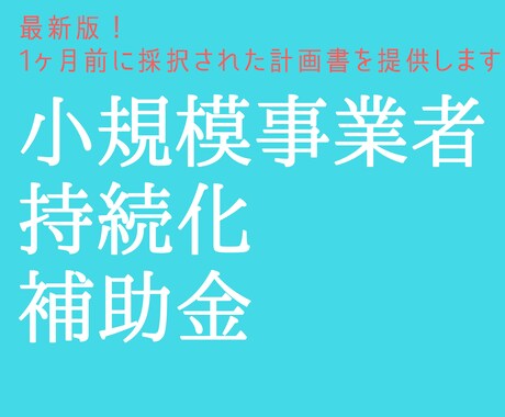 持続化補助金コロナ型で採択された計画書を提供します 2020年10月に採択率34%を通った計画書を格安で配布 イメージ1
