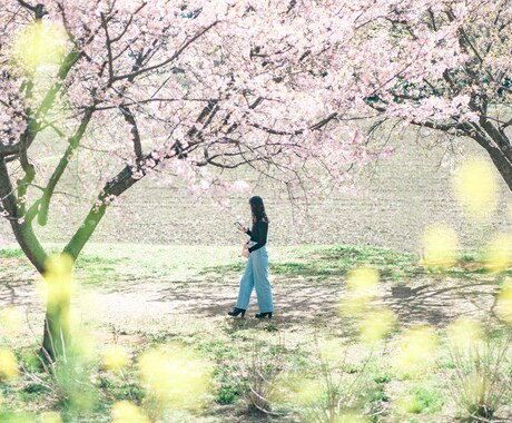 写真編集します 写真の明るさ、色味、等レタッチします。 イメージ1