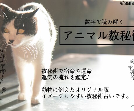 アニマルな数秘術で宿命や運命の流れ占います 動物に例えた分かりやすいオリジナル数秘術です♪ イメージ1