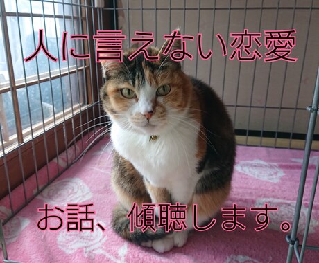 人に言えない恋愛のお悩み、傾聴します 人に言えない恋愛や体験、私がお話を傾聴します。 イメージ1