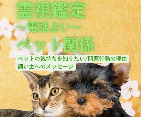 霊視鑑定　大切なペットちゃんの心の声をお伝えします 今の感情・不安・あなたへの想いなどを鑑定いたします。 イメージ1