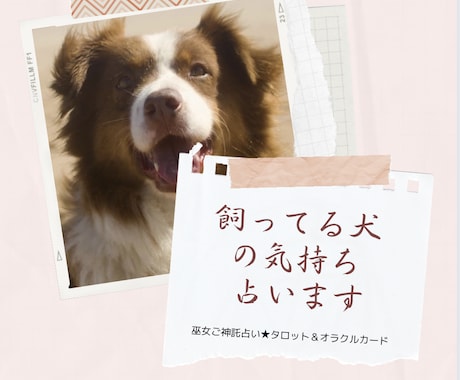 飼ってる犬の気持ち占います 飼ってる愛犬の気持ちをお伝えします。 イメージ1