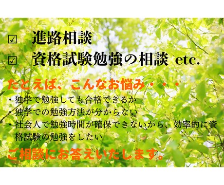 士業などの資格試験勉強について相談に乗ります 士業資格短期合格者が資格試験勉強についての相談乗ります イメージ1
