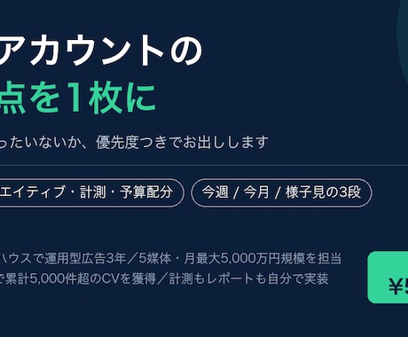 広告アカウントの改善点を1枚に診断します イメージ1