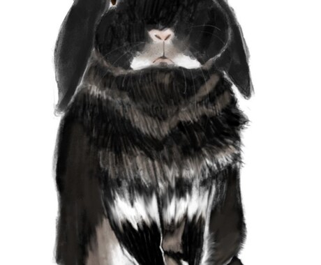 動物のイラストを描きます 愛嬌を誇張した、リアル寄りのペットイラストが得意です。 イメージ1