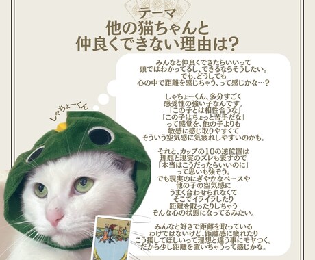1枚引きで大切な家族の気持ちを占います タロットカード：ペットちゃんの気持ち占い イメージ2