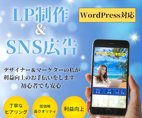 WordPressで高クオリティLP作成をします WordPress/LP作成/SNS広告運用代行 イメージ1