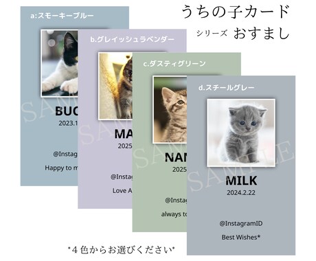 SNS映えするおしゃれな「うちの子」名刺作ります わんちゃん猫ちゃん ペット名刺 ミニマルくすみカラーデザイン イメージ1