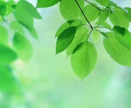 仕事がしんどい会社員の悩み、整理します 転職・投資を決める前の壁打ち相談 イメージ1