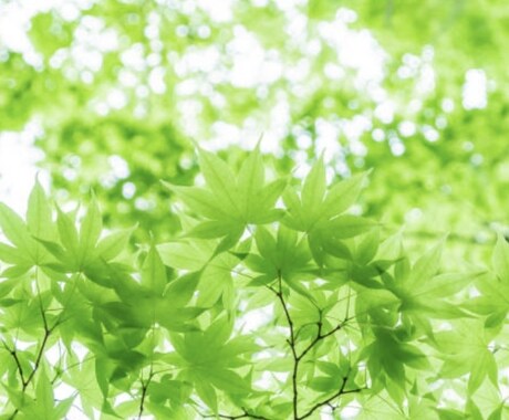 トップ霊能鑑定します 前に進めるお手伝いをさせていただきますね イメージ1