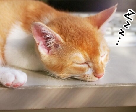 何時からでも大丈夫❤️眠くなるまでお話ききます 眠れぬ夜にあなたのそばに寄り添います♪ イメージ1