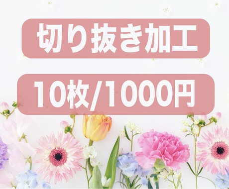 画像の切り抜き・白抜き加工します Photoshopで丁寧、迅速に対応いたします！ イメージ1