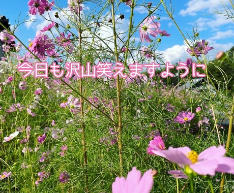 どんなお話しでも優しくお聞きして受け止めます 今すぐ誰かに話したい時、私に話してくださいね イメージ2