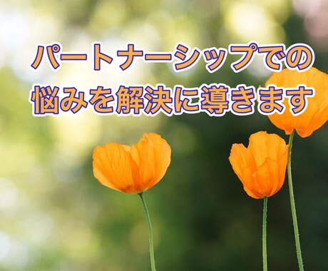 パートナーシップでの悩みを解決に導きます パートナーシップでの悩み解決しちゃおう。 イメージ1