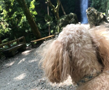 親御さんご相談受け付けます 現在、摂食障害の娘さん、息子さんのことでお悩みの方 イメージ2