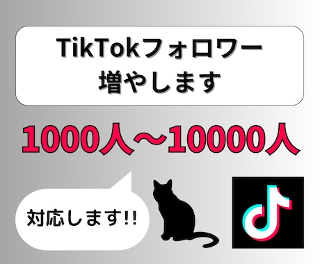 TikTokフォロワーを1000人増やします 格安⭐️1000人⭐️減少保証あり⭐️ティックトック