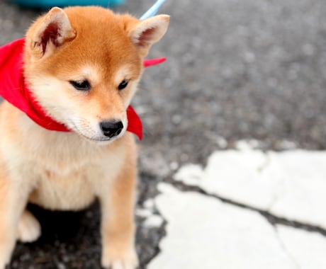 あなたの話や愚痴、聞かさせていただきます 居酒屋で友達に吐露するように愚痴ってください！ イメージ1