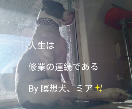 人に言えない悩みは色々あります！人生相談承ります もやもやしている問題を解決できるよう、お手伝いさせて下さい！ イメージ1