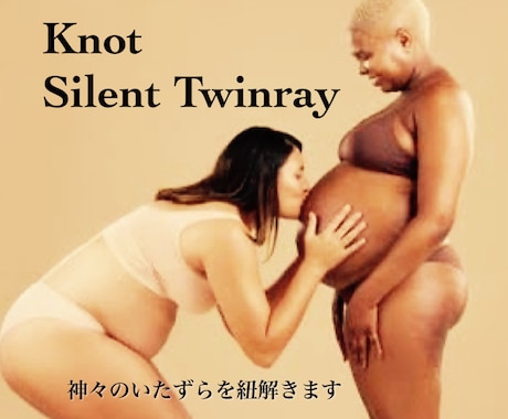 なかなか解決しない謎のツインレイを優しく紐解きます 思い込みをビシッと浄化！証明のできない魂の概念を丁寧に解放 イメージ1