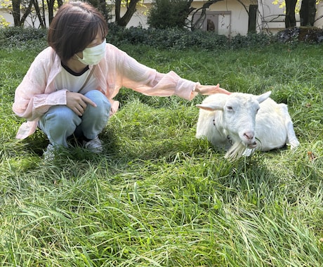 大好きなお相手の気持ち占います 現状から未来までお相手の気持ちの変化を占います イメージ1