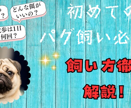 ジャンル限定！YouTube用サムネイル作成します ペット・スピ系限定ですが、丁寧に作成させていただきます。 イメージ2