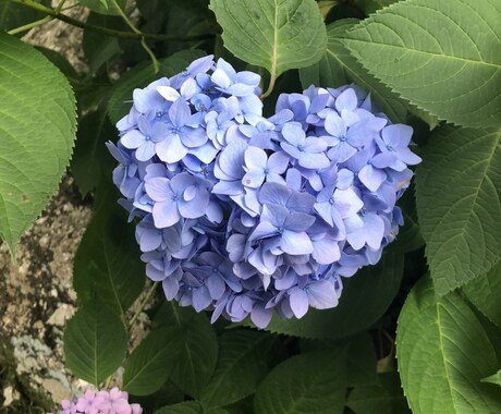 摂食障害やうつの悩み、お話聞きます 一人で頑張りすぎていませんか？？ イメージ1