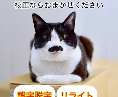 紙媒体実績20年。校正・リライトを行います 誤字脱字、表記ゆれのチェック、赤字との突き合わせなど要相談 イメージ1