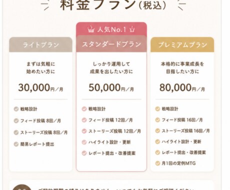 格安明瞭価格！インスタ運用のサポート・代行をします 実績あり！ノウハウを活かし効果の出る運用をいたします！ イメージ2
