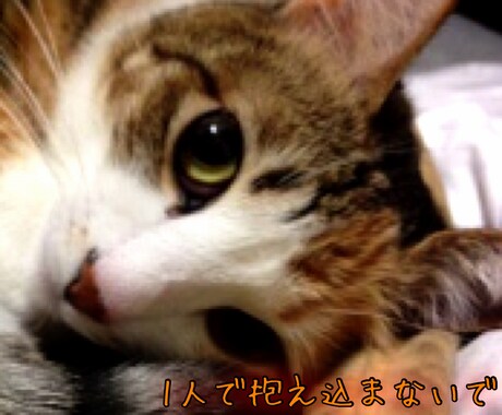 電話一本で繋がる温かい場所✨心に寄り添います 心の友、心友になりませんか？ほっと一息なごみじかん☕ イメージ2