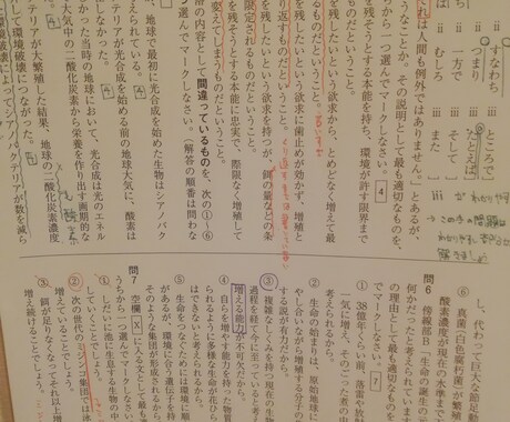 中学入試高校入試の国語の解説つくります 本文・問題の注目部分が一目瞭然。解説なしの問題も対応します。 イメージ2
