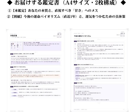 辛口注意！四柱推命であなたの甘さを斬ります 運命を変える本格鑑定書データ（2枚組）をお渡しします。 イメージ2