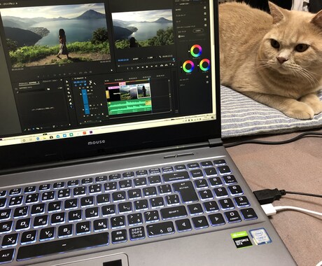 格安1500円！YouTube動画編集代行します 実績獲得の為４月末まで期間限定料金に設定中です！ イメージ2