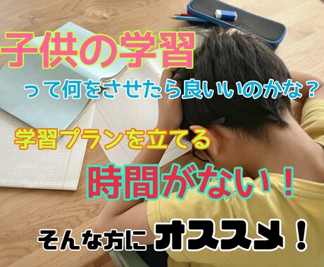 こども学習カリキュラムを作成します 元塾講師で現役パパが一人一人に合う学習カリキュラムをご提案！ イメージ2