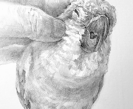 ペットの似顔絵を手描き原画で制作します お写真をもとに、ハガキサイズのペット肖像画を制作いたします。 イメージ2