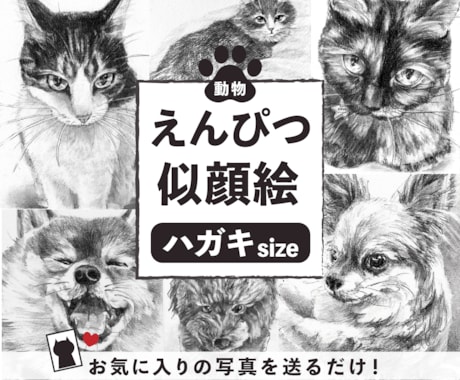 お家の猫ちゃんわんちゃん鉛筆で描きます イメージ1