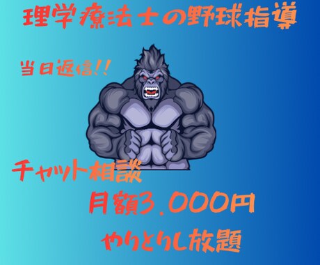 現役理学療法士が野球のスイングを指導します バットスイングを分析してより良い動作の提案と練習を提案します イメージ1