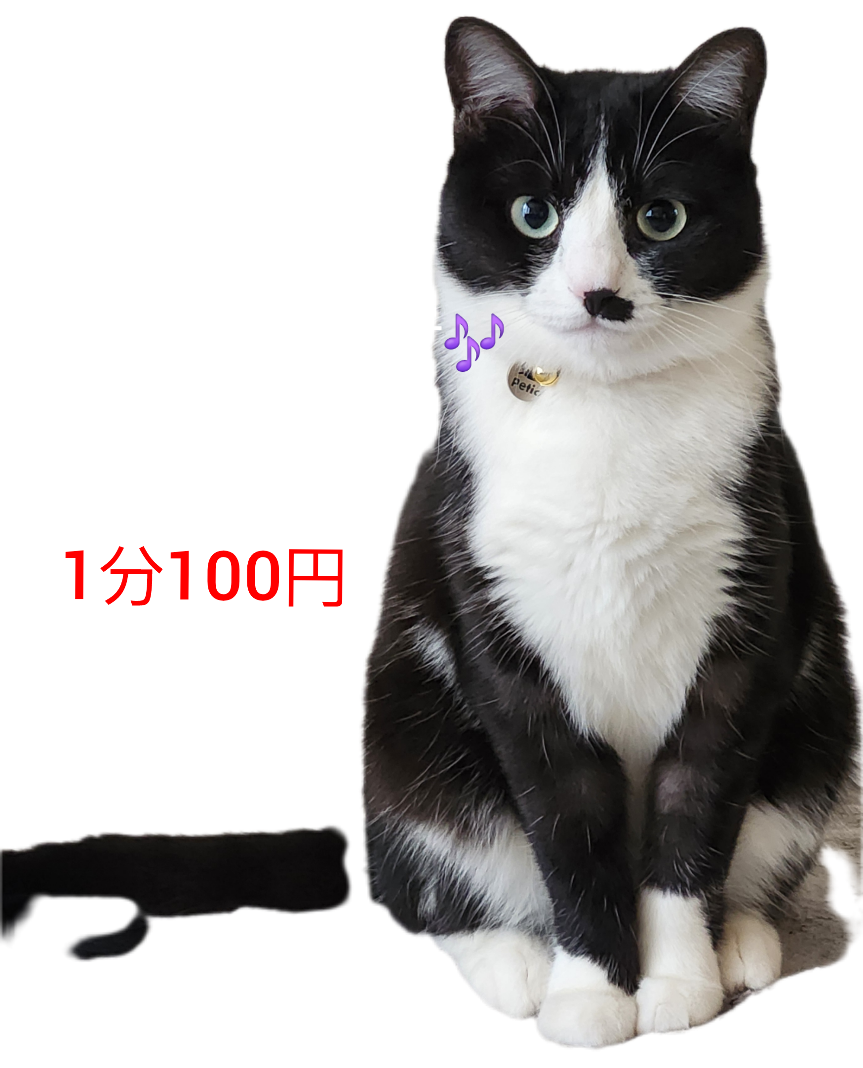 お悩みなんでも聞きます 身近な人には言えない悩み事ありませんか？ イメージ2