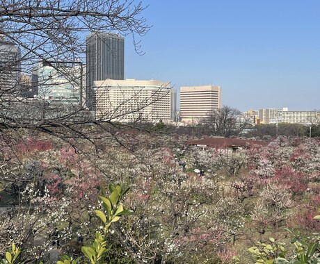 健康業界でセラピストとして15年の経験を話します 温活を通した健康法のプロが語るあなたにあった健康法を教えます イメージ2